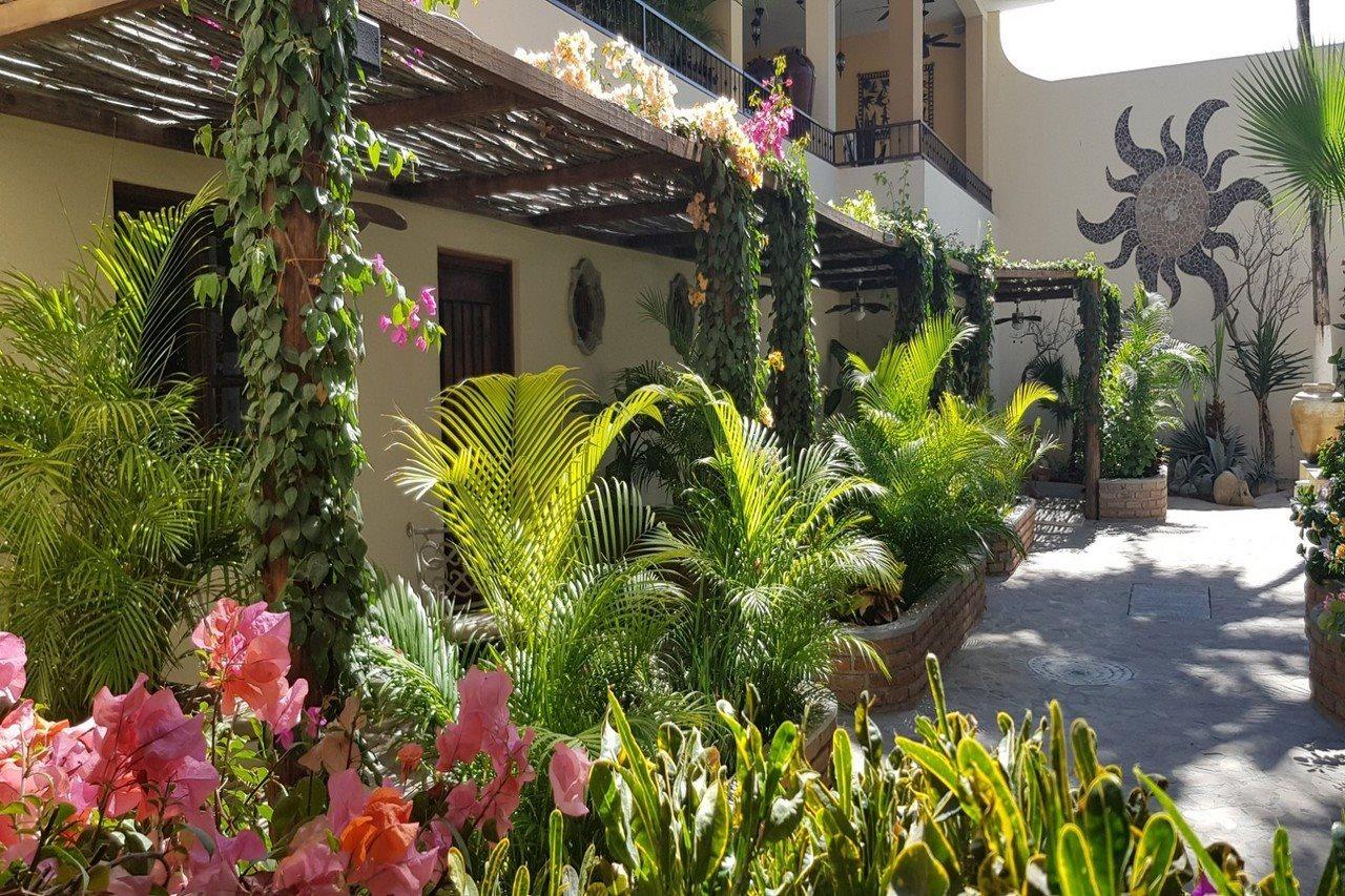 Posada De Las Flores La Paz Exterior photo
